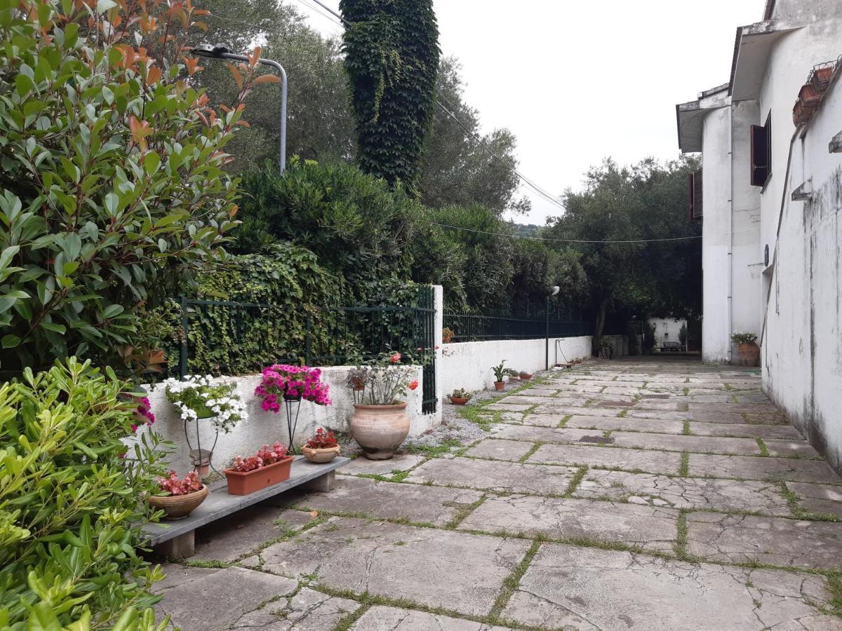 Villa Livia فيلاماري المظهر الخارجي الصورة