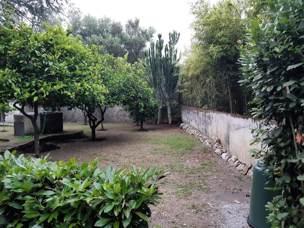 Villa Livia فيلاماري المظهر الخارجي الصورة