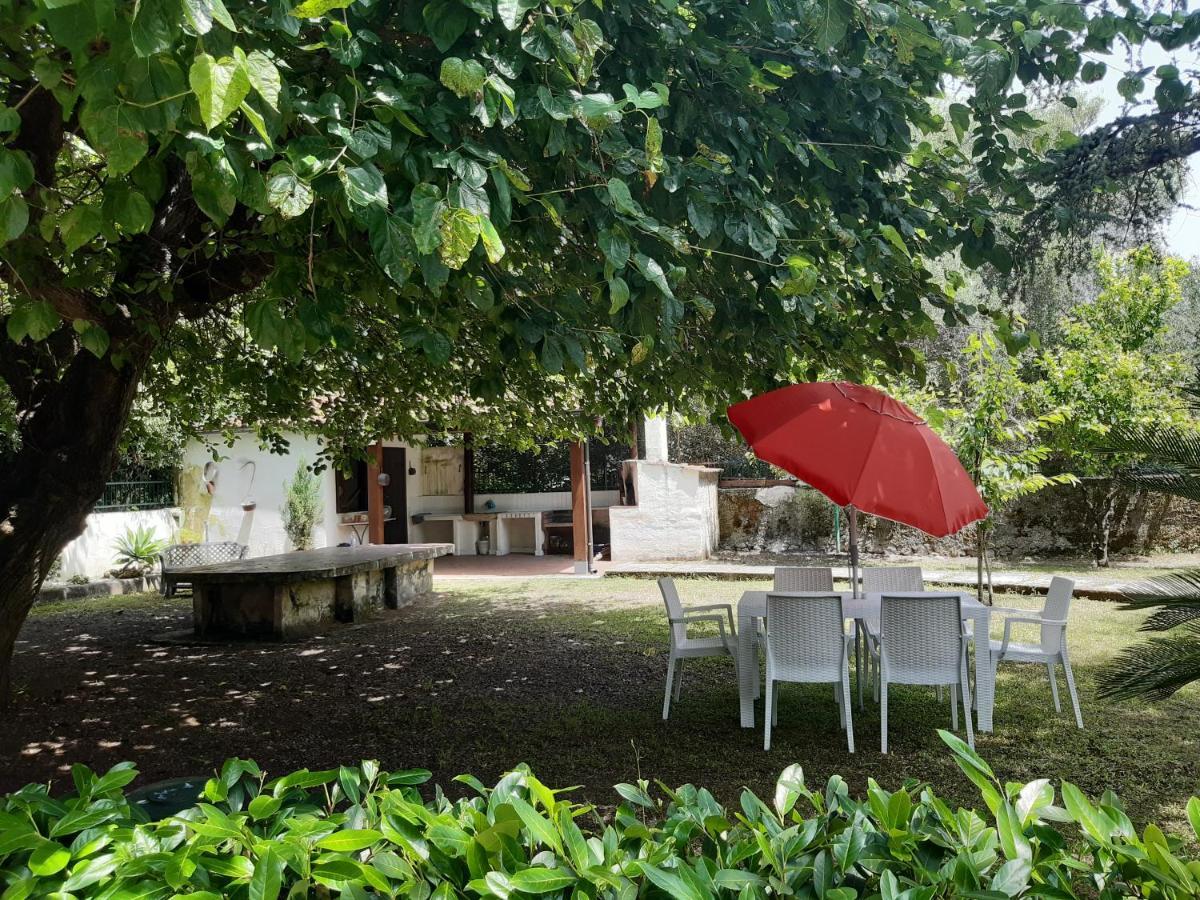 Villa Livia فيلاماري المظهر الخارجي الصورة