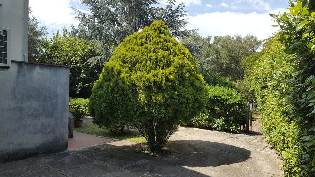 Villa Livia فيلاماري المظهر الخارجي الصورة