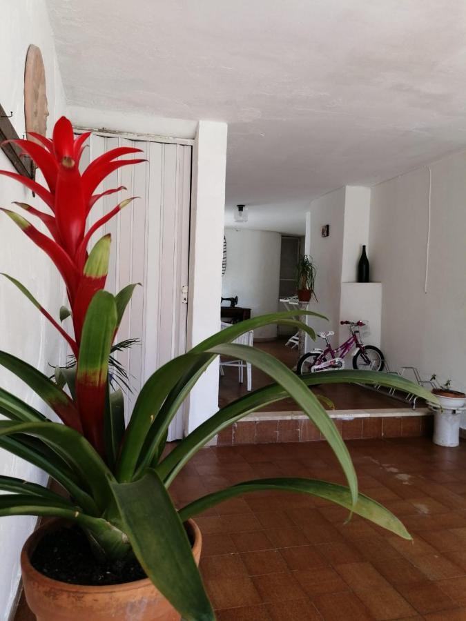 Villa Livia فيلاماري المظهر الخارجي الصورة